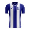 Original Fußballtrikot Honduras Ausweichtrikot 2024 Für Herren